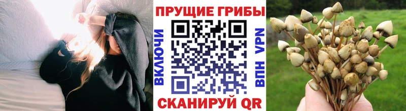 Купить закладки  Коряжма  Галлюциногенные грибы прущие грибы 